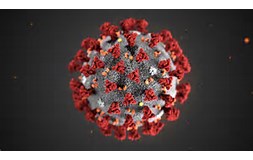 covid17 coronavirus
