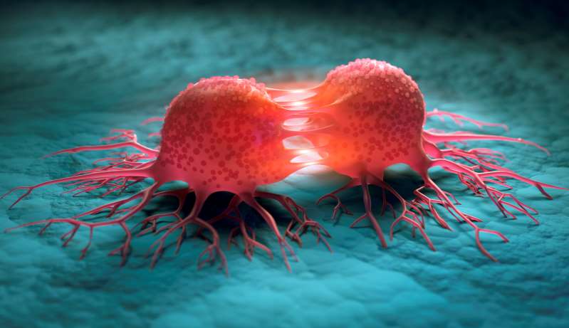 dividing cance cell