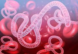 ebola