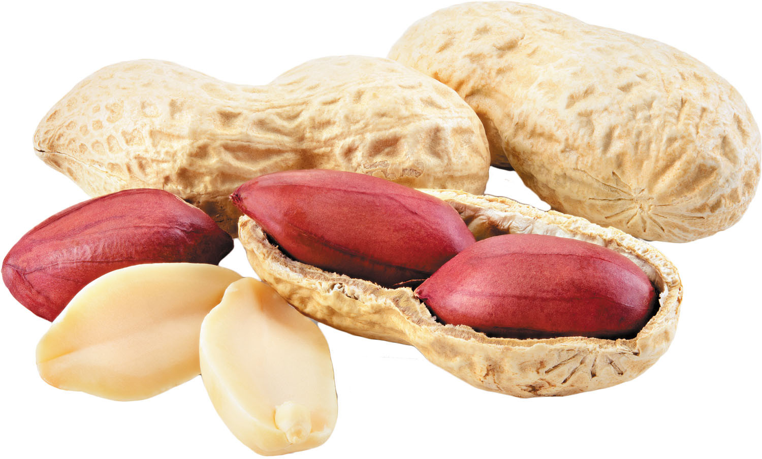 peanut2s